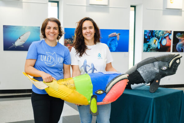 53660511409_47b7d8c3b7_o