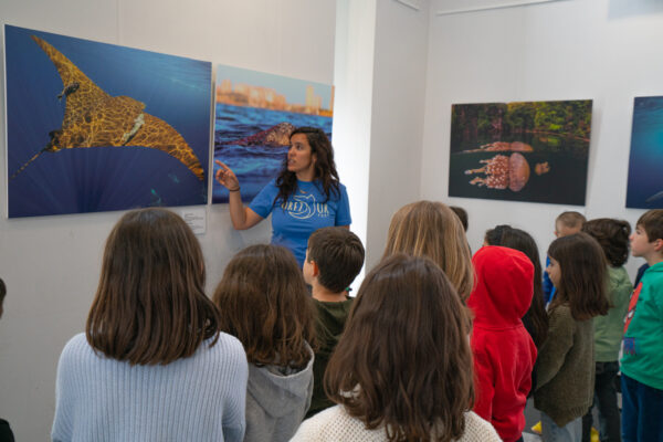 IS100_321MM_7.1_1.250SG-4