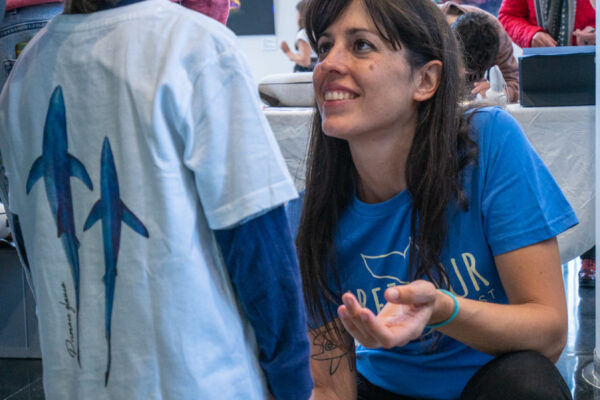 IS100_321MM_7.1_1.250SG-50