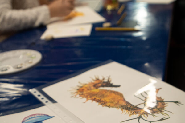 IS100_321MM_7.1_1.250SG-6