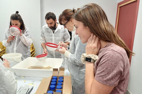 MikroplastikoeiUKo_5